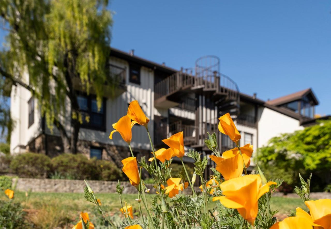 Wine Country Inn Napa Valley St. Helena Esterno foto