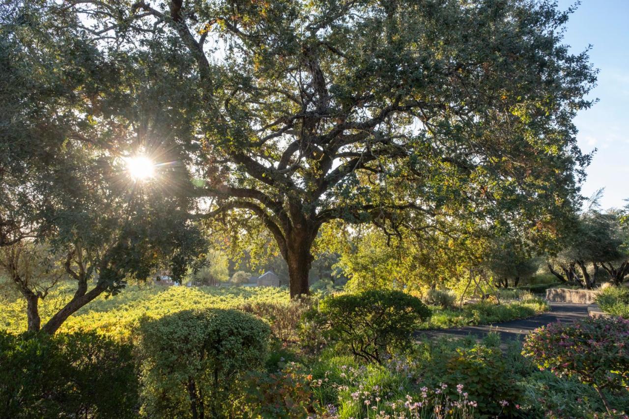 Wine Country Inn Napa Valley St. Helena Esterno foto