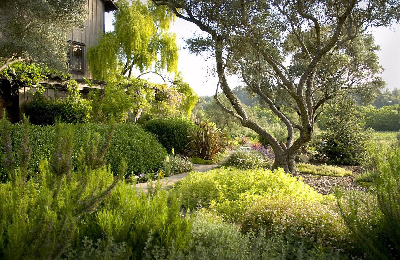 Wine Country Inn Napa Valley St. Helena Esterno foto