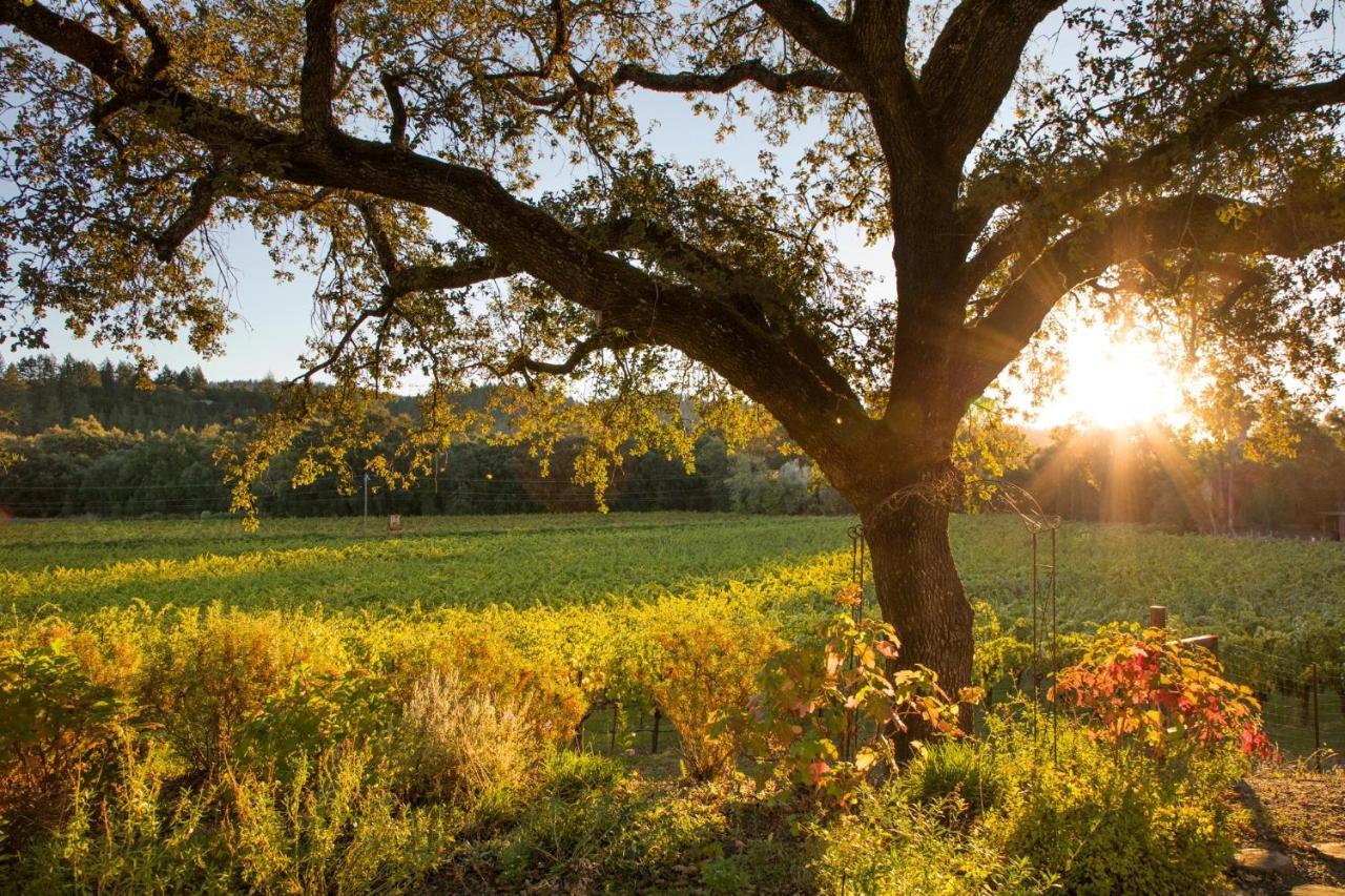 Wine Country Inn Napa Valley St. Helena Esterno foto