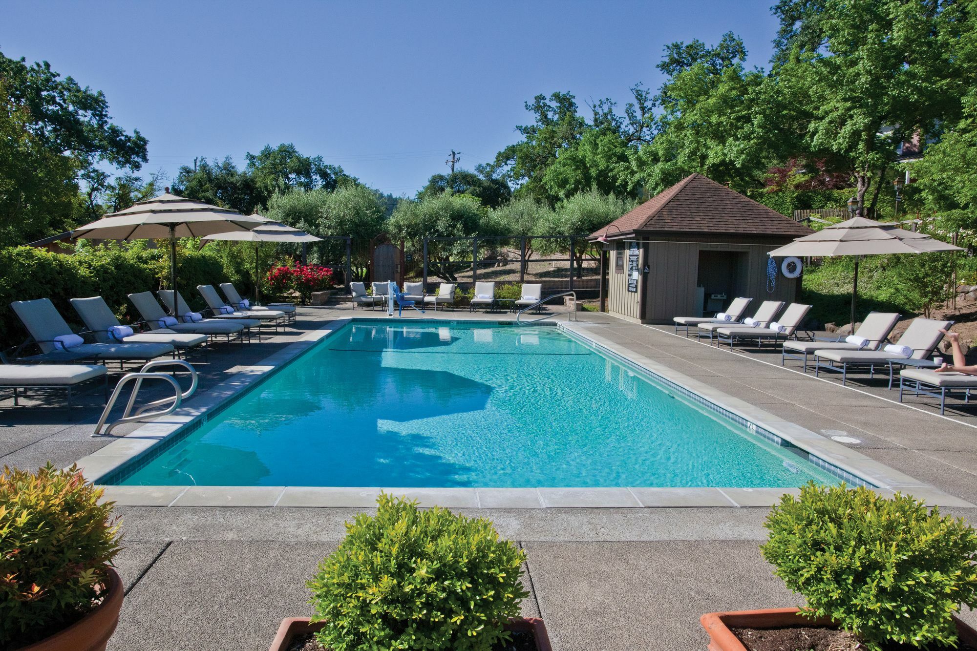 Wine Country Inn Napa Valley St. Helena Esterno foto